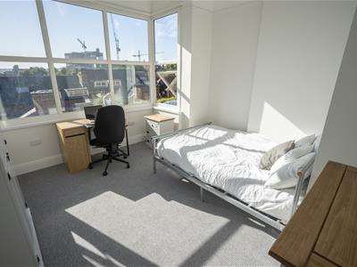 Picture 5